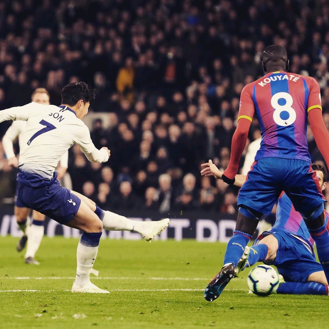 在看到运动 在看到运动