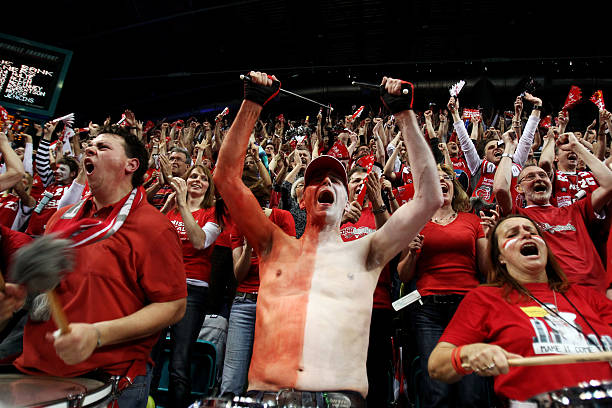 其他锋线竞 其他锋线竞